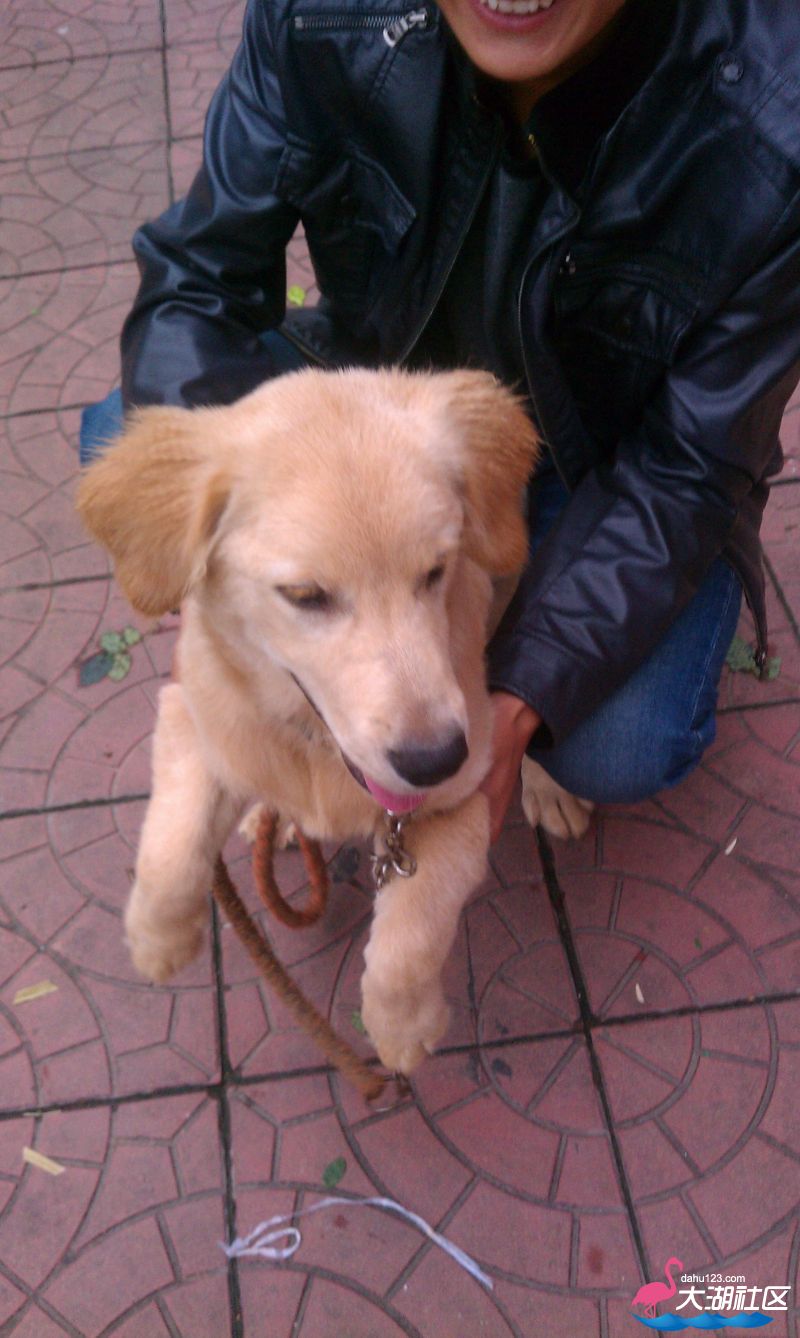 IMAG0355.jpg
