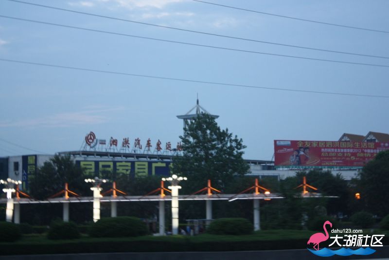 IMG_0937.jpg