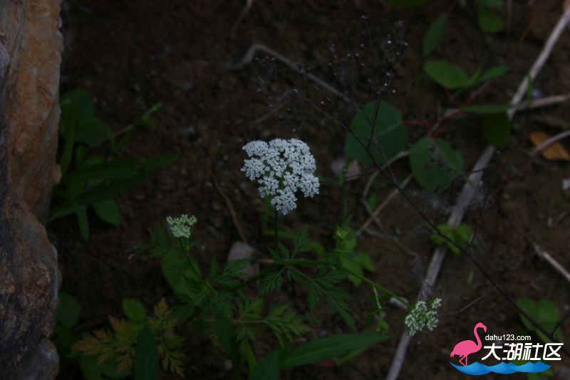 _MG_0327.jpg