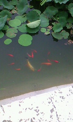 IMG0122A.jpg