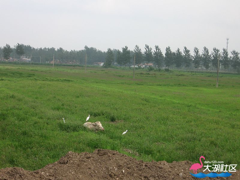 news_2012827181548.jpg