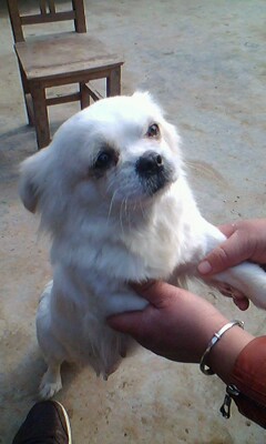IMG0036A.jpg