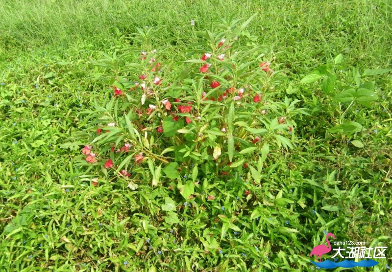 100_4936.jpg
