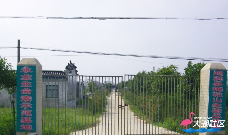 100_4884.jpg