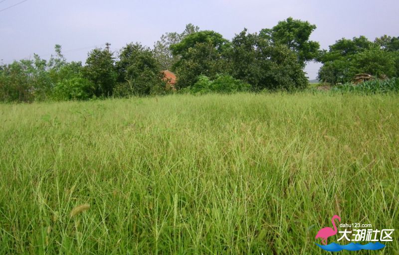100_4887.jpg