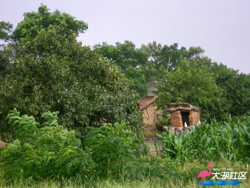 100_4888.jpg