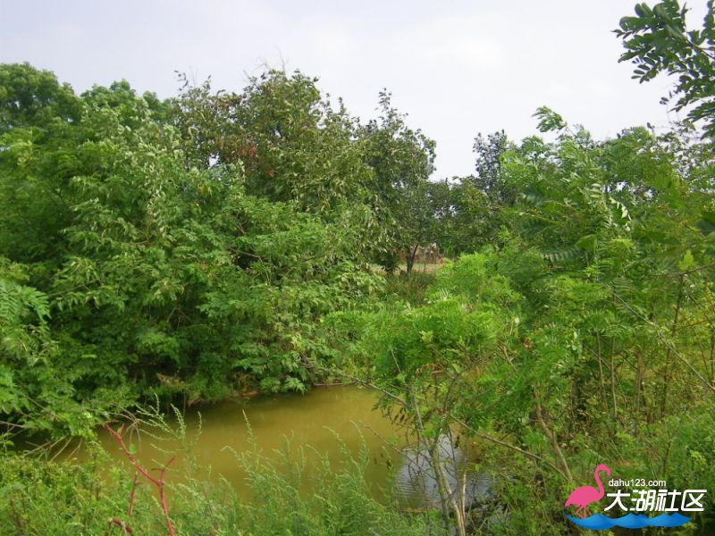 100_4889.jpg