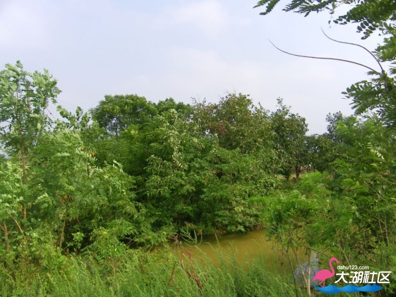 100_4890.jpg