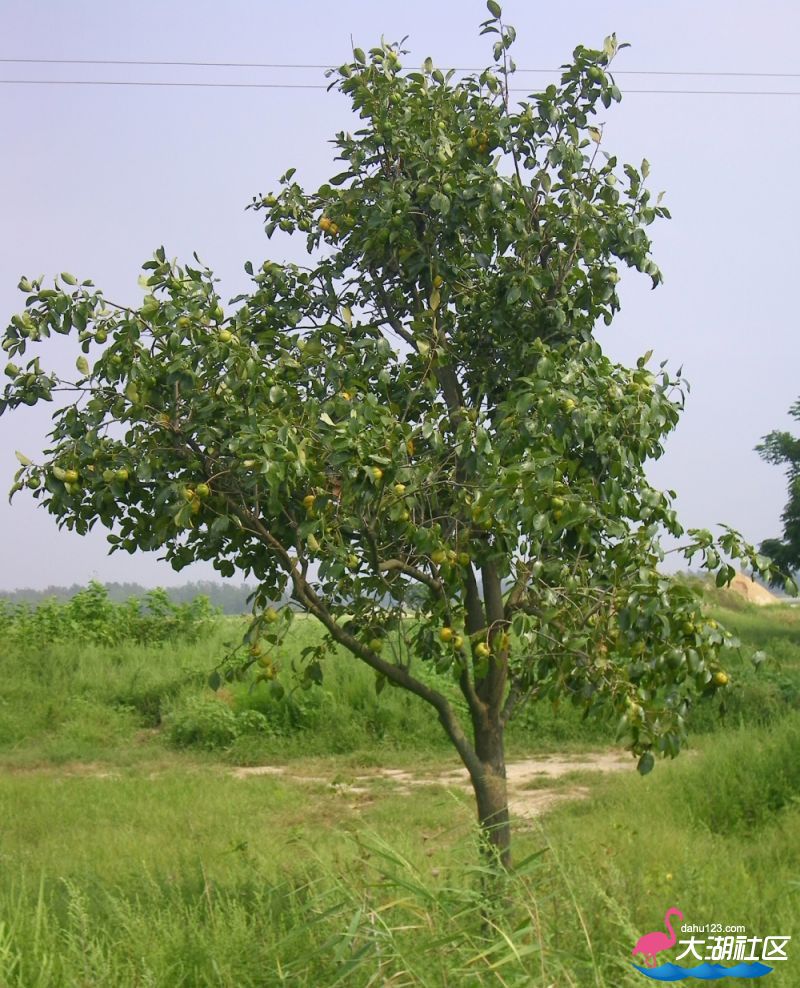 100_4891.jpg