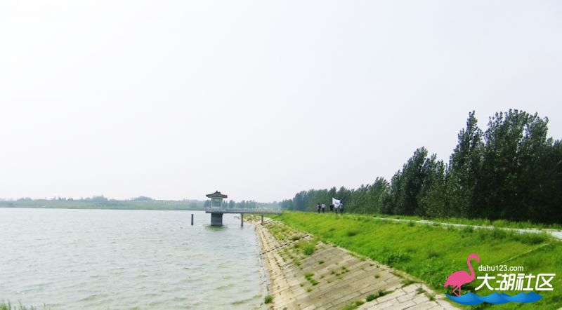100_4940.jpg