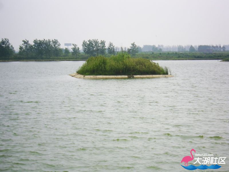 100_4942.jpg
