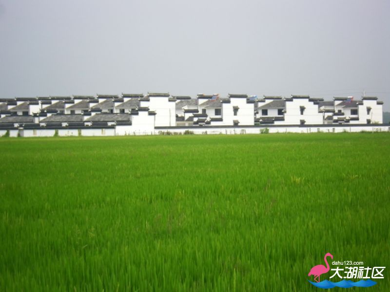 100_4958.jpg