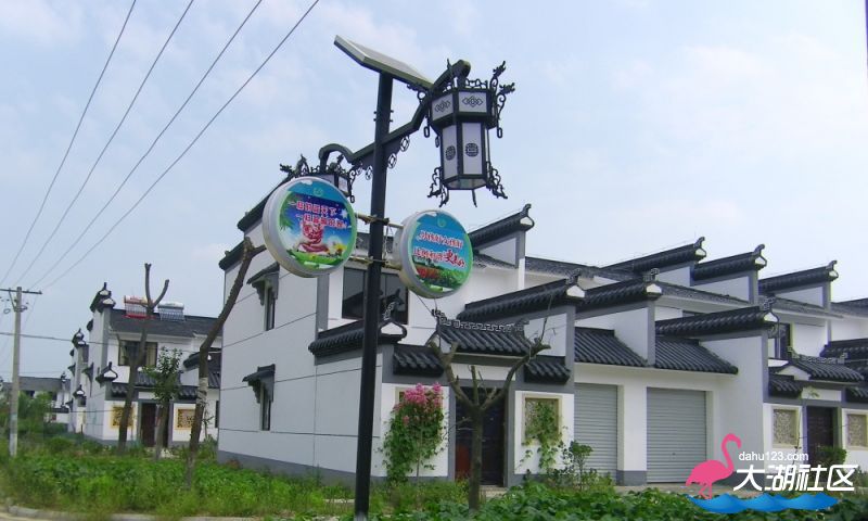 100_4971.jpg