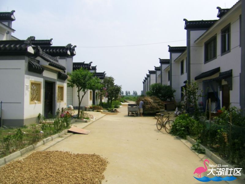 100_4972.jpg