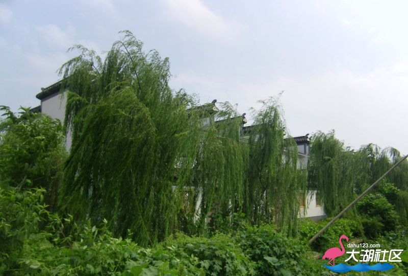 100_4976.jpg
