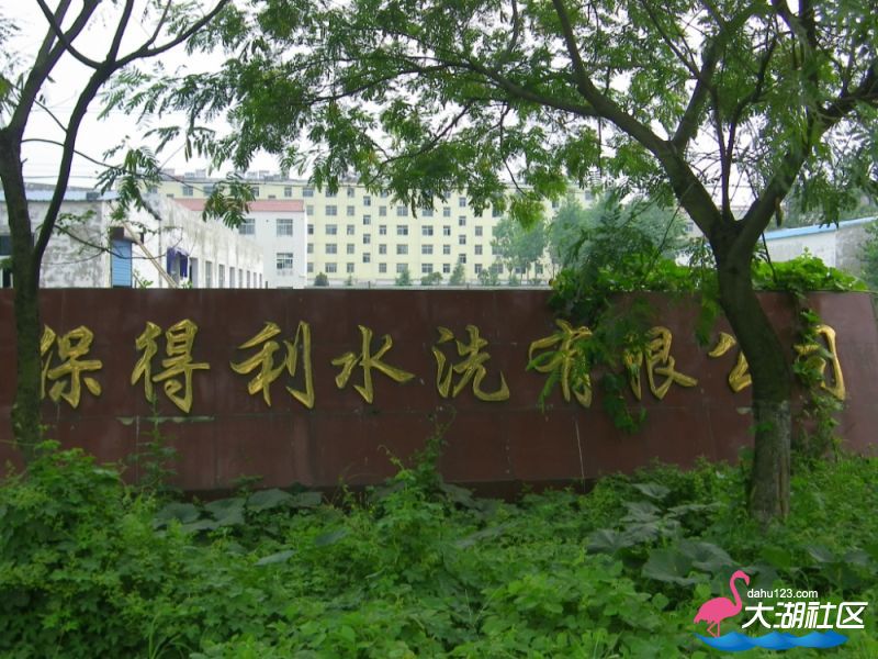 100_5011.jpg