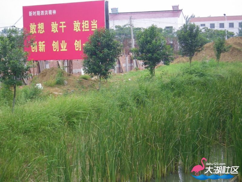 100_5039.jpg
