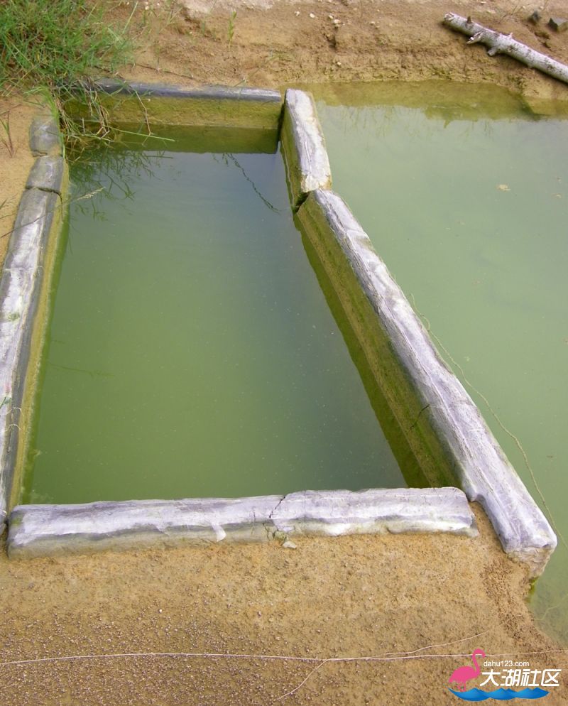 100_5026.jpg