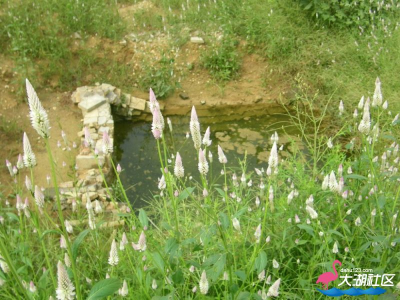 100_5029.jpg