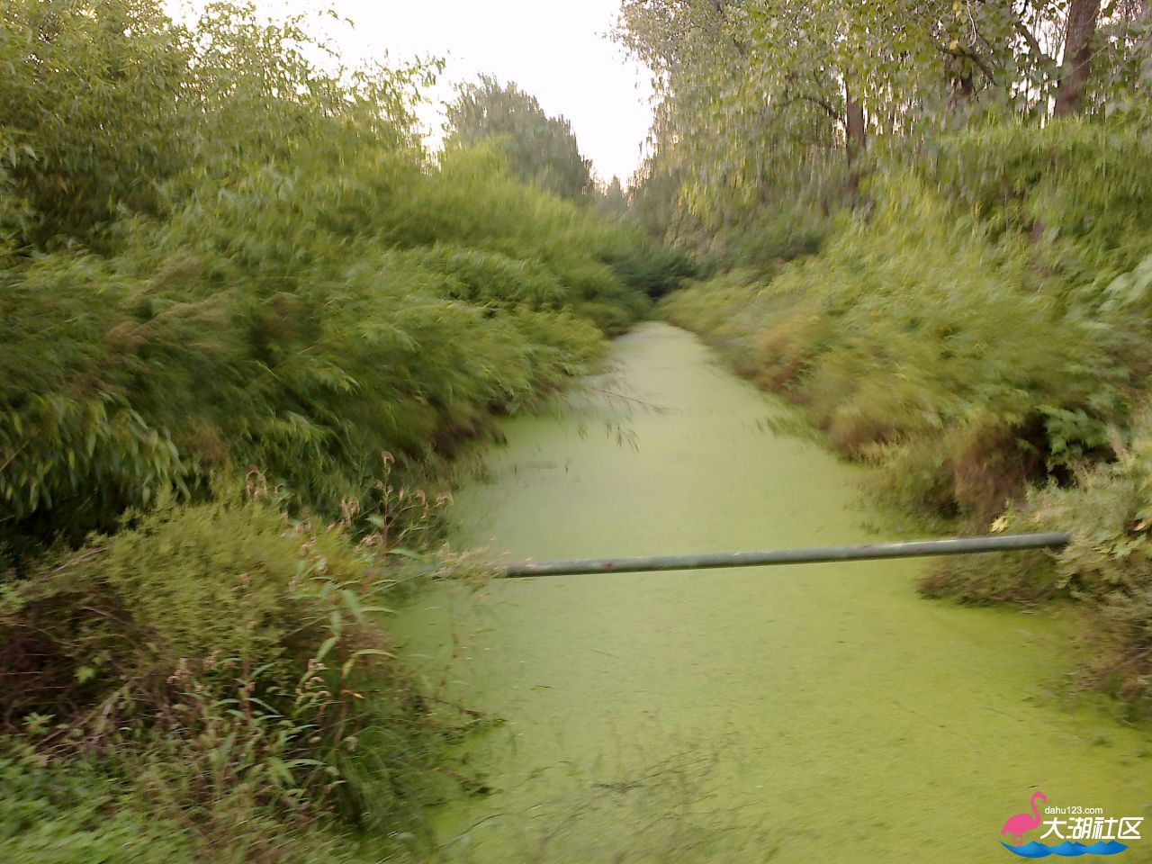 20120916277.jpg