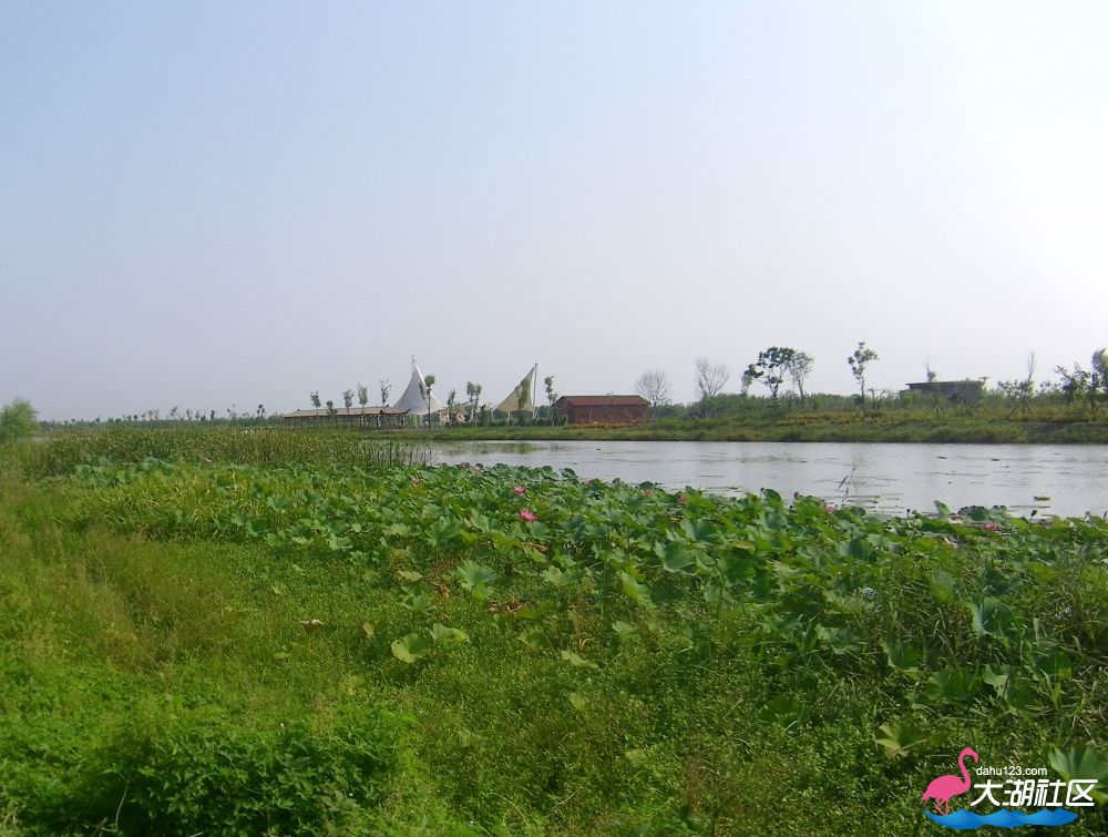 100_5244.jpg