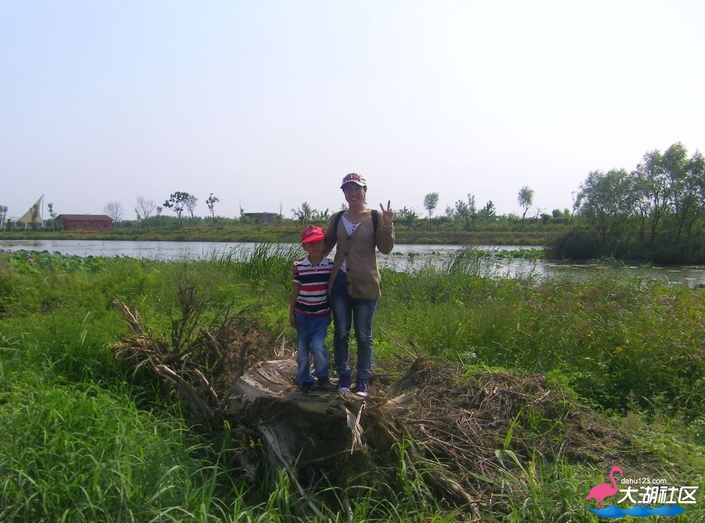100_5250.jpg