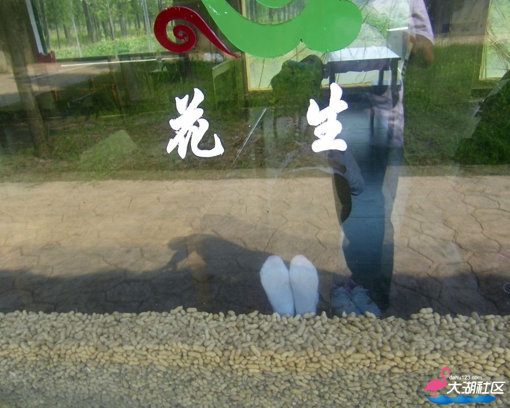 100_5369.jpg