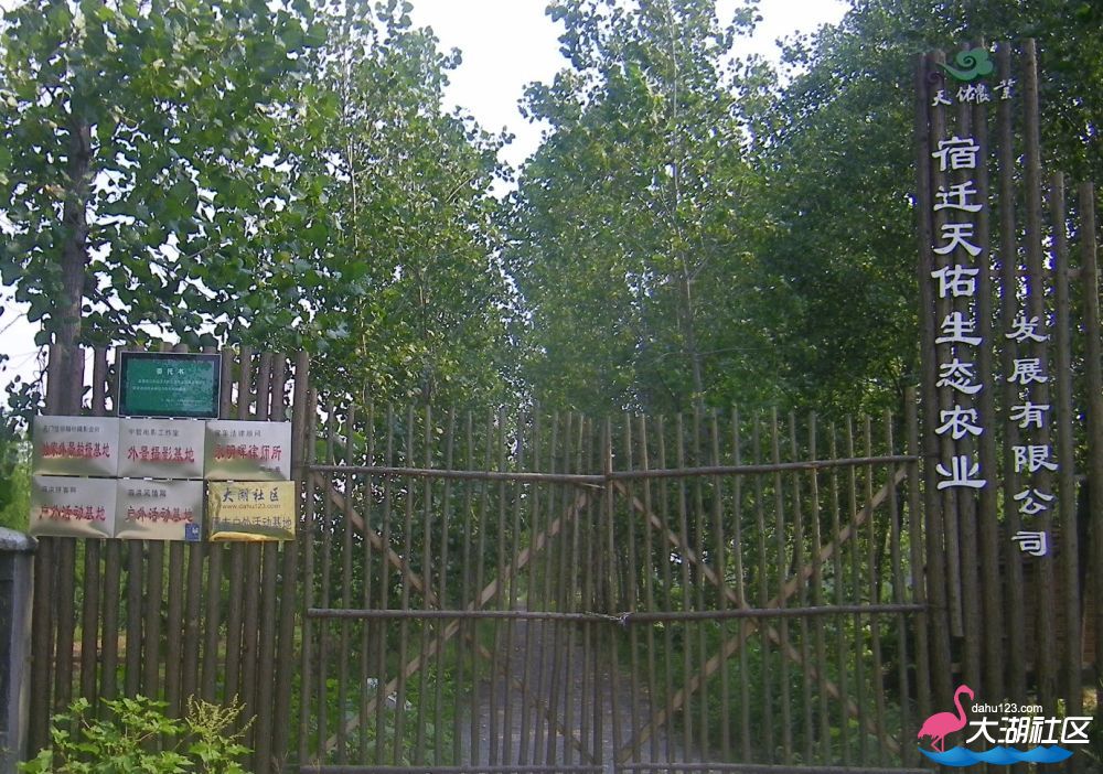 100_5373.jpg