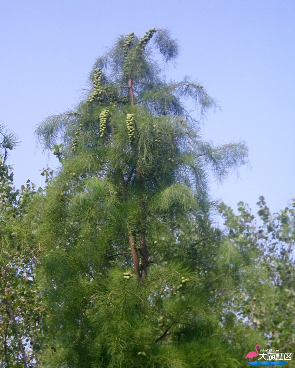 100_5280.jpg