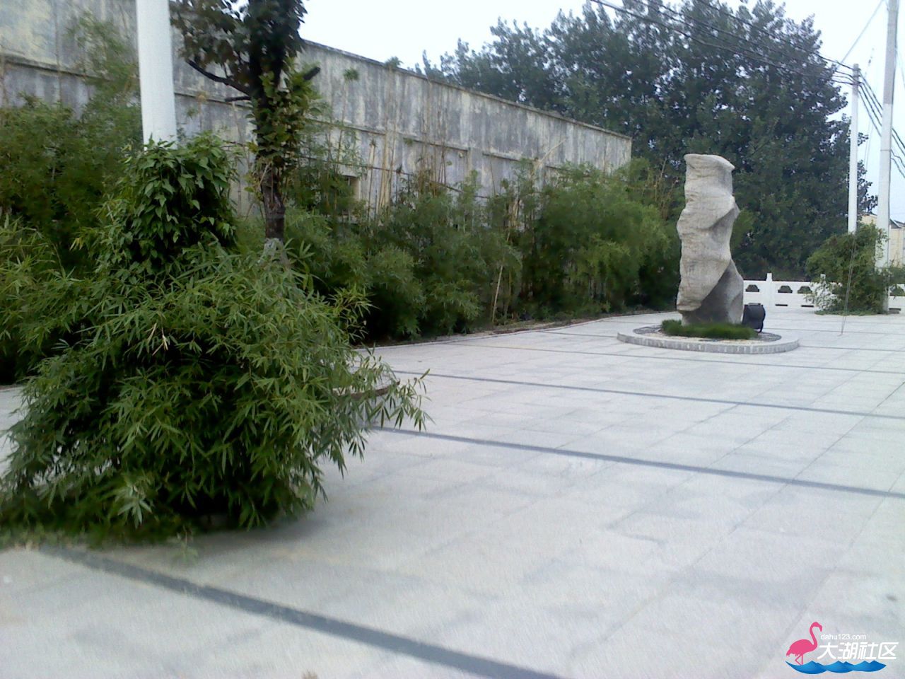 IMG_20120902_174626.jpg