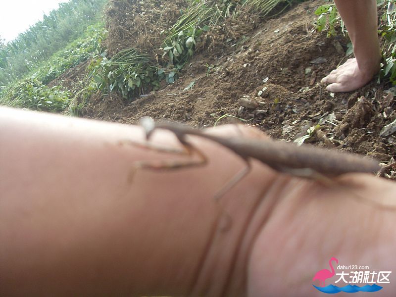 news_201292118757.jpg