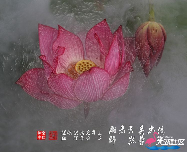 nEO_IMG_IMG_8082副本.jpg