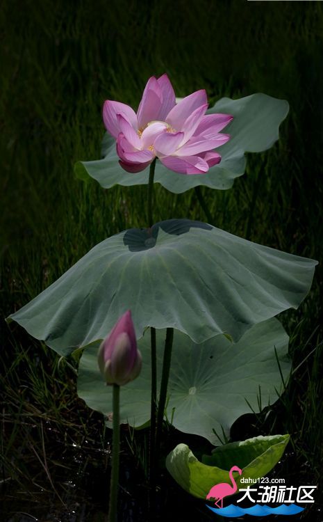 nEO_IMG_IMG_1578副 本.jpg