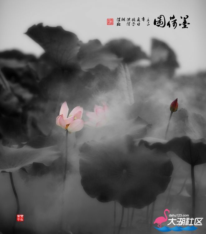 nEO_IMG_IMG_2010副   本.jpg