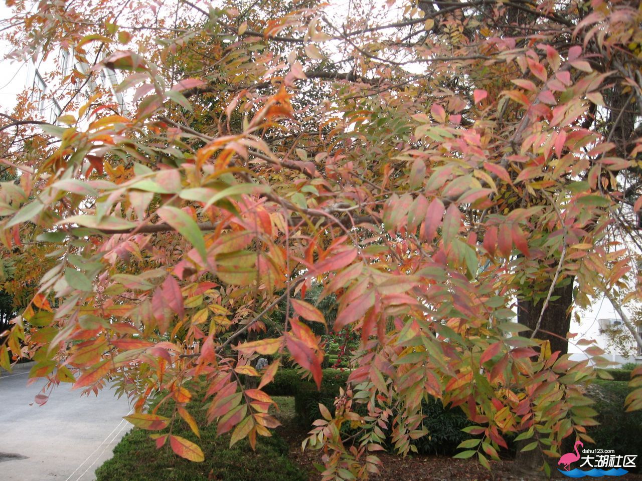 IMG_1819.JPG