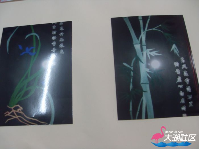 SDC10318.jpg