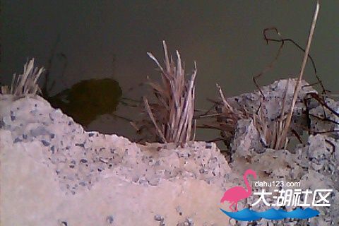 161112-0945(003).jpg