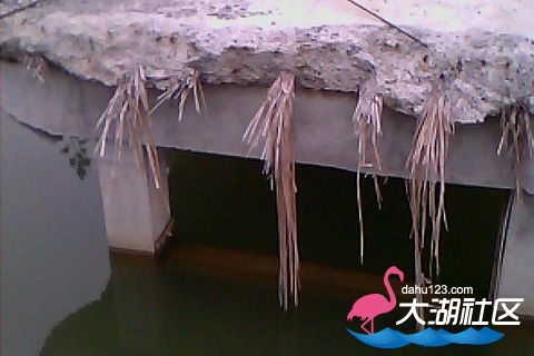 161112-0945(004).jpg