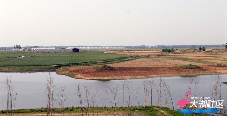 image005.jpg