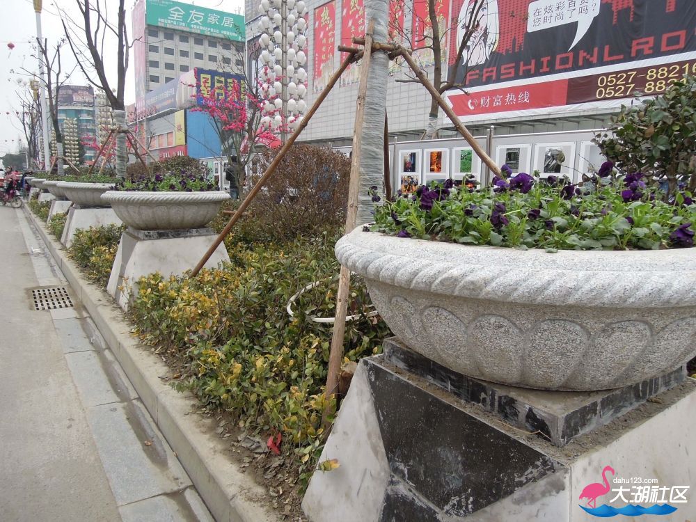 DSCN4954.JPG