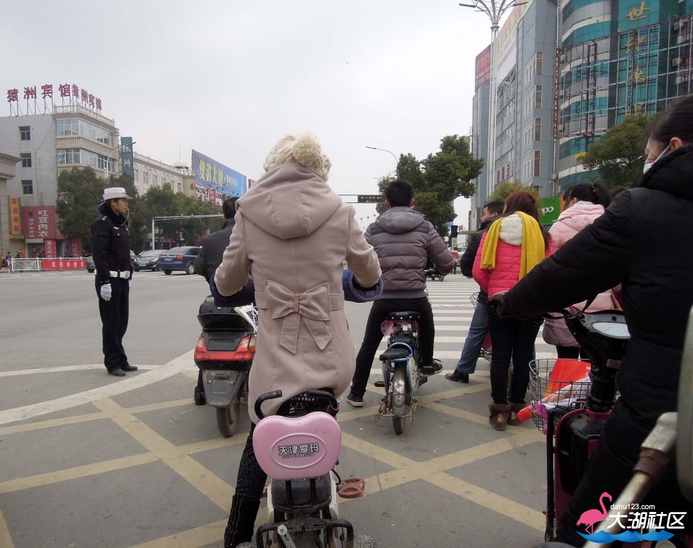 DSCN4955.JPG