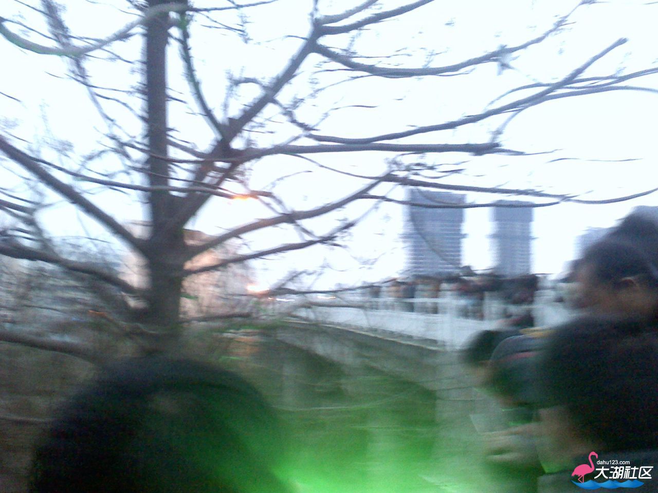 IMG_20130220_180012.jpg