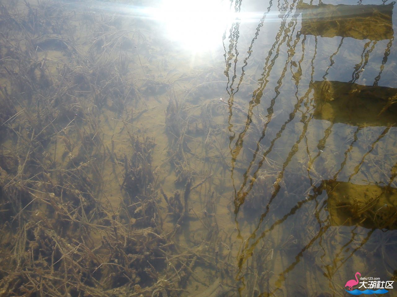 IMG_20130303_143425.jpg