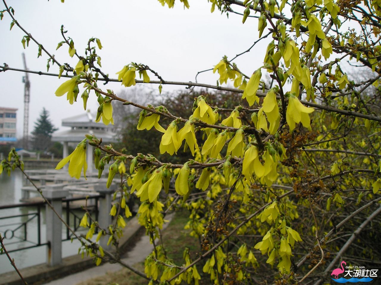 P1010163.JPG