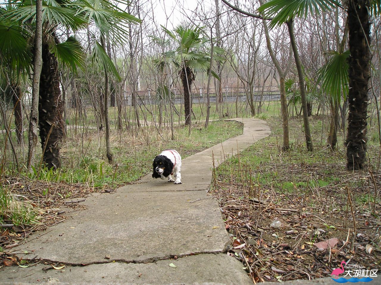 P1010177.JPG