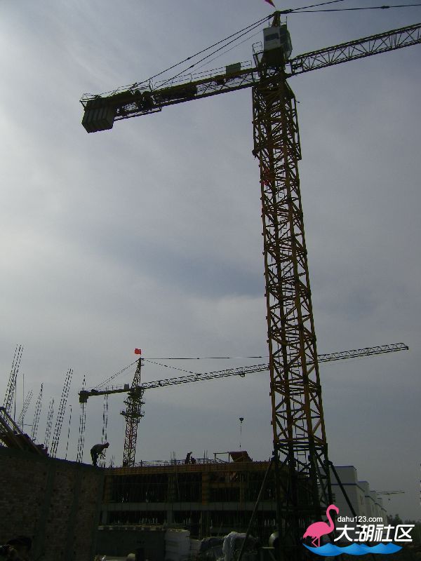 s800_102_0312.JPG