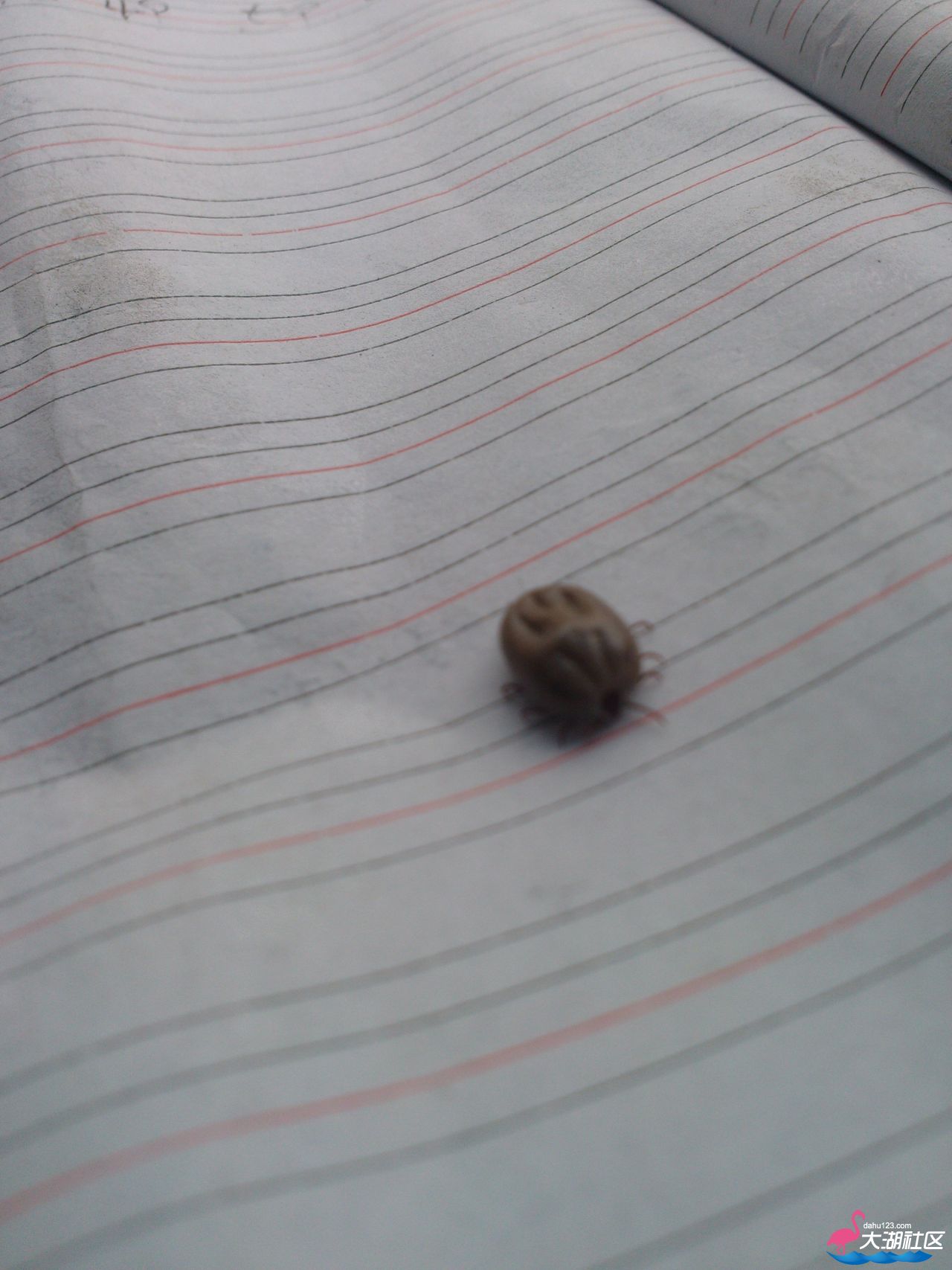 IMG20130422120026.jpg