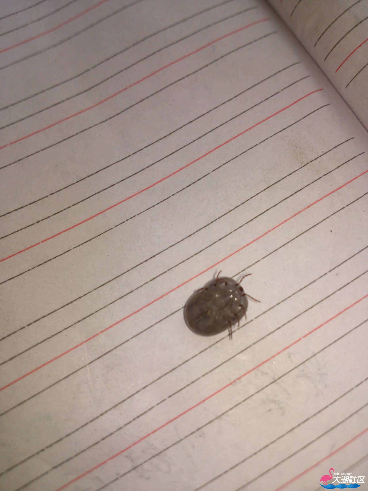 IMG20130422120124.jpg