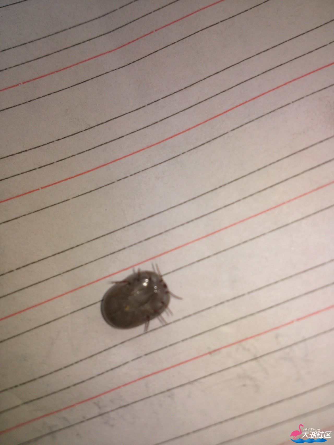 IMG20130422120145.jpg