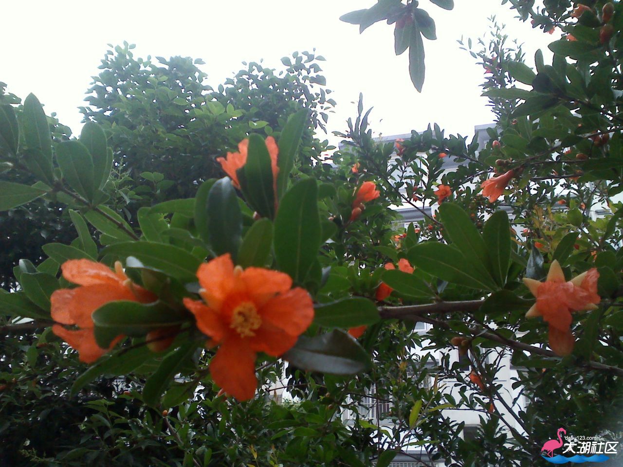 IMG_20130525_162245.jpg